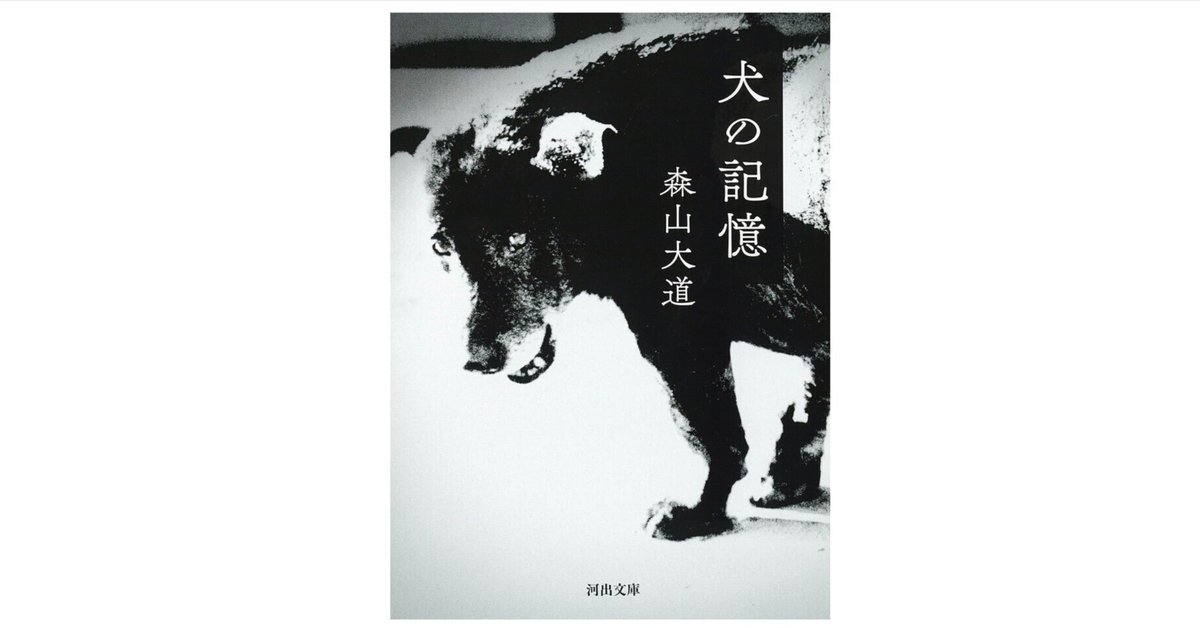 郷愁は過去ではなく、今この瞬間に生まれる──森山大道『犬の
