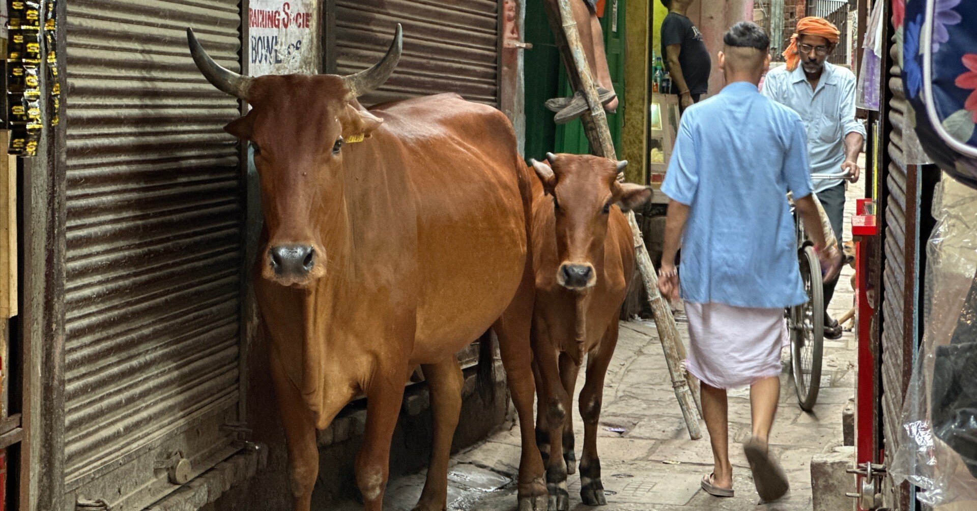 ced6b9ceb5929ac6c6f866e86ee1fc