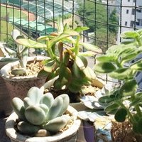 お家を明るく 貼るだけでお部屋の雰囲気がいい感じ 色々使える リメイクシートを楽しみましょ ナフコ スタッフ Nafco Staff Note