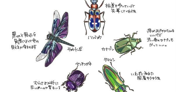 【中古】 日本の昆虫 ９/文一総合出版 楽天市場】ポケット図鑑 日本の昆虫1400の通販
