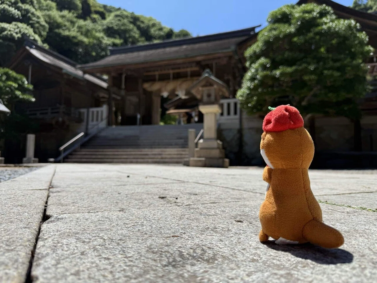 03 【ご縁の国】 出雲大社→美保関｜旅するカワウソくん