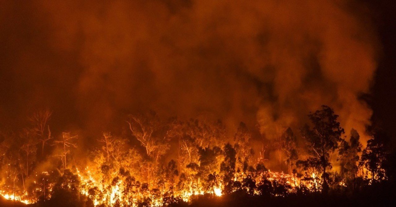 誰も傷つかない世界なんて存在しなかった なつな Note