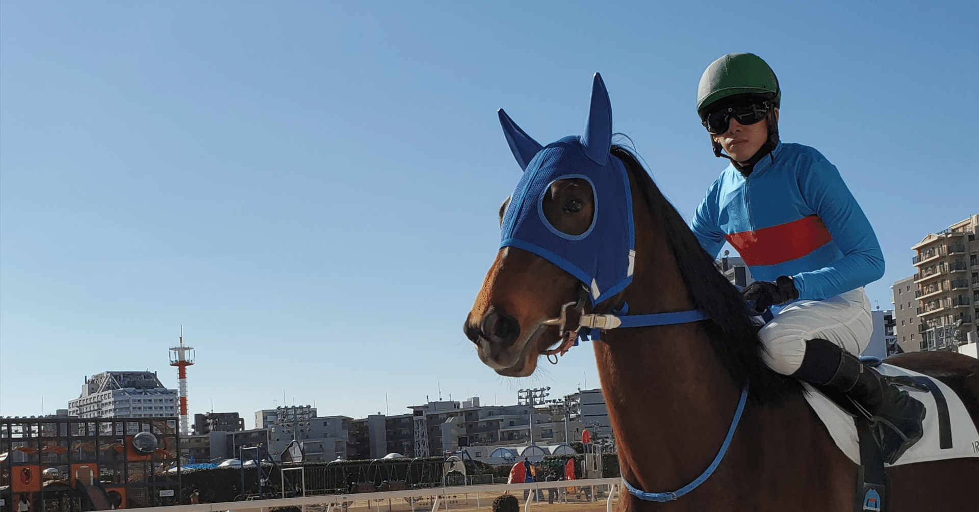 競馬 カード アルバム 大量 まとめて 中央 地方 名馬 伝説 競馬 カード アルバム 大量 まとめて 中央 地方 名馬 伝説 競馬