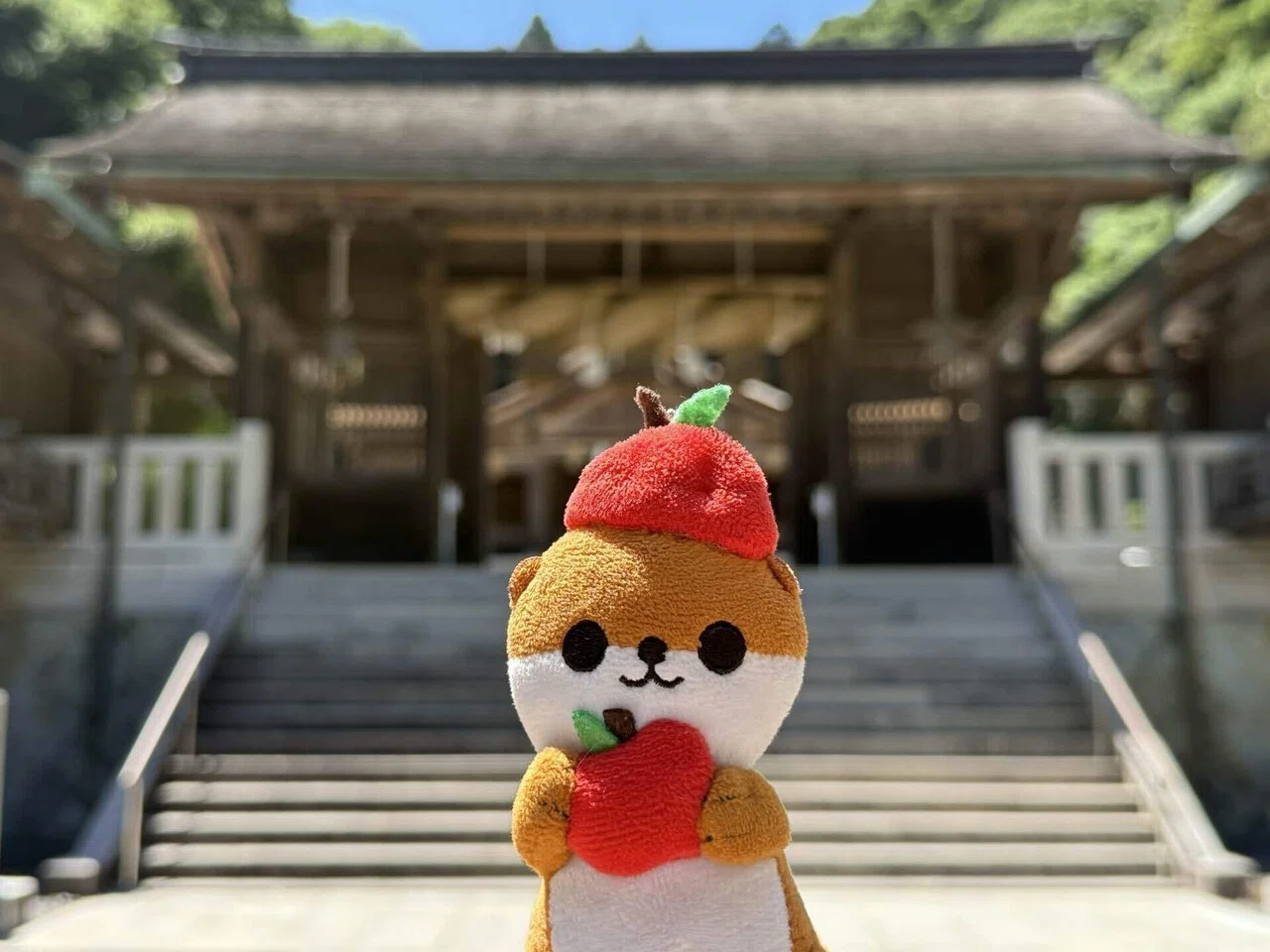 03 【ご縁の国】 出雲大社→美保関｜旅するカワウソくん