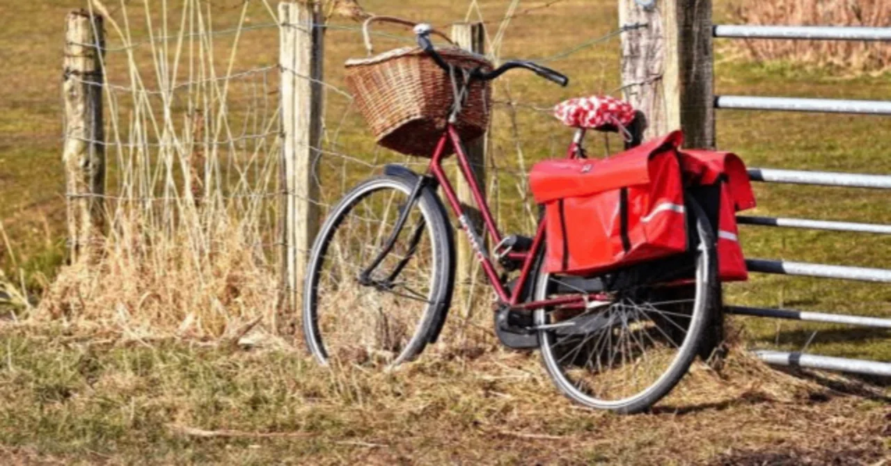 荷物 パニアバッグ 自転車 リア バッグ SOLRELA リアバッグ パニア