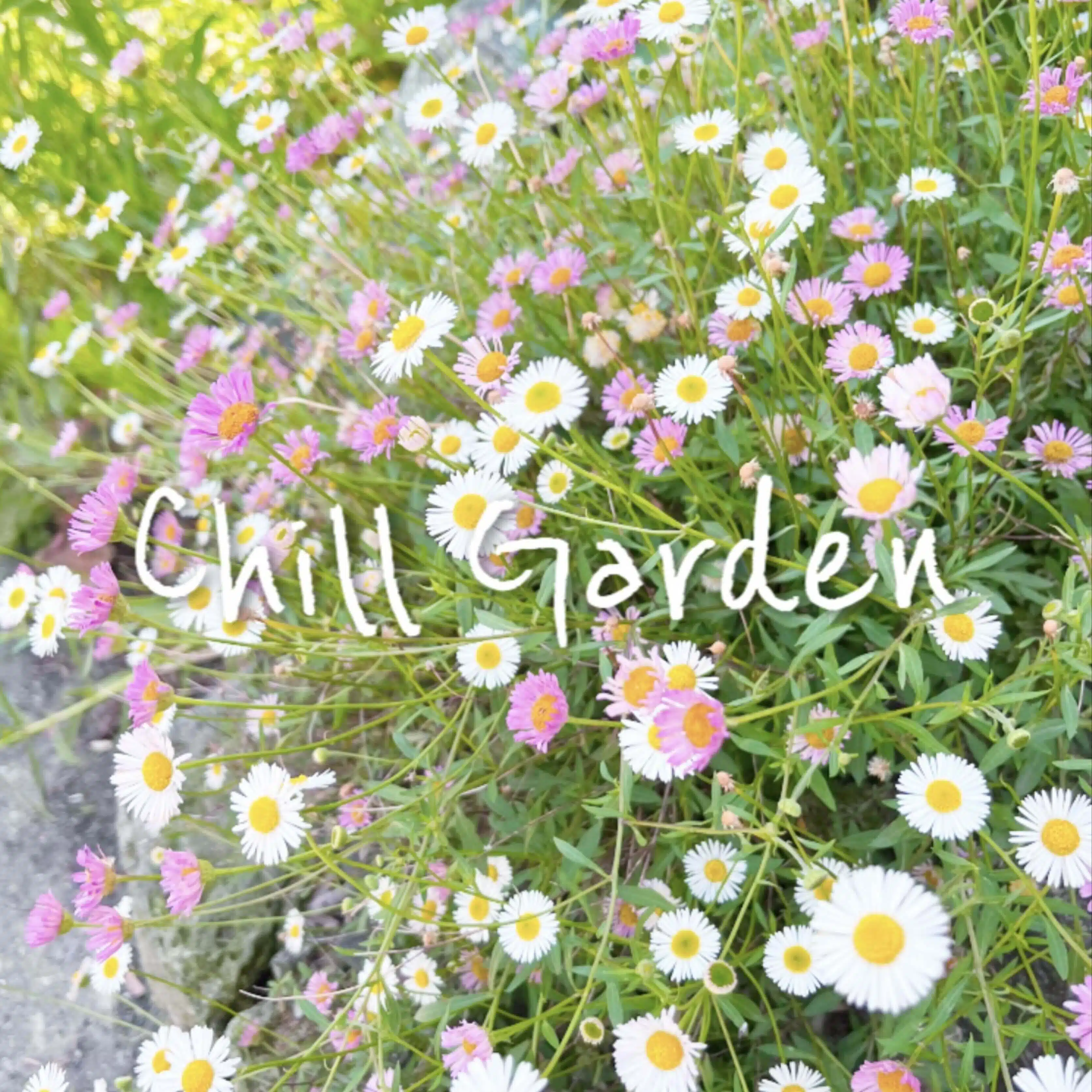 「 暮らしと植物と、私 」 ー Chill Gardenの日々から ー