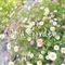 「 暮らしと植物と、私 」 ー Chill Gardenの日々から ー