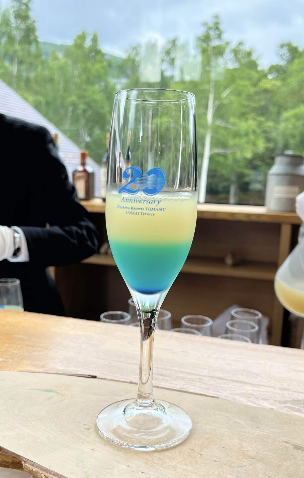 北海道】夏の星野リゾート トマム宿泊記＃1〜初日にプール遊び〜（1歳