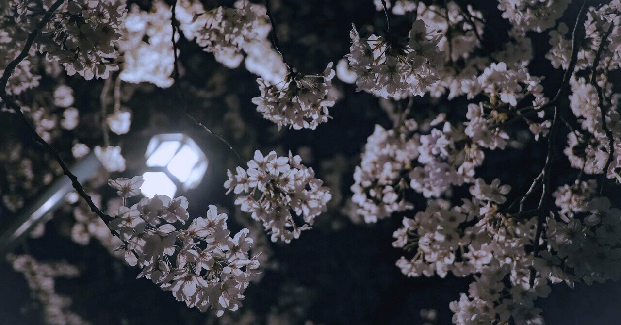 恋愛と支配④】愛される快感と支配される快感｜志乃嘉乃（しのよしの）