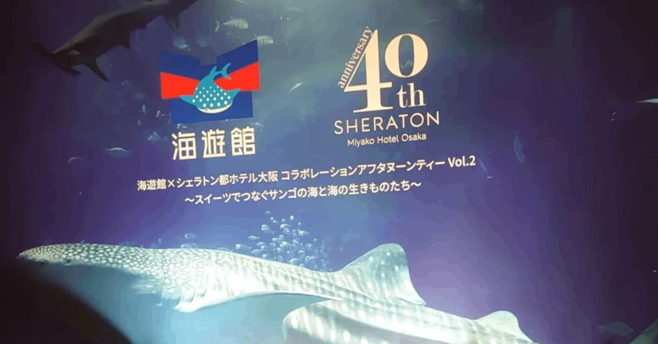 HERO3と海遊館アフタヌーンティー｜のつわた