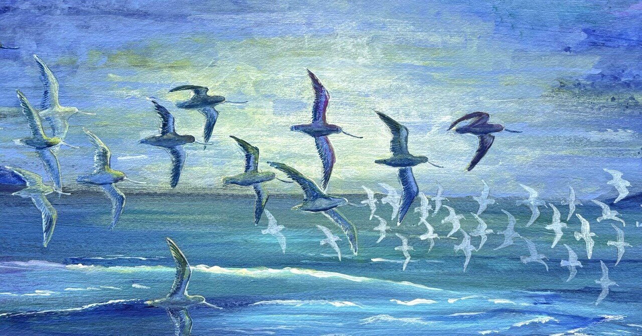 作品集｜夜と街｜note