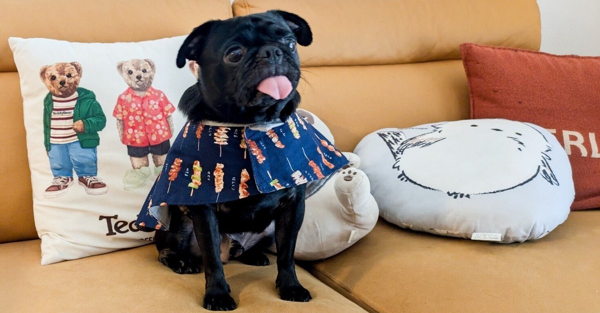 L XL size フレブル服♡パグ服 ハンドメイド 犬服 ハンドメイド犬服