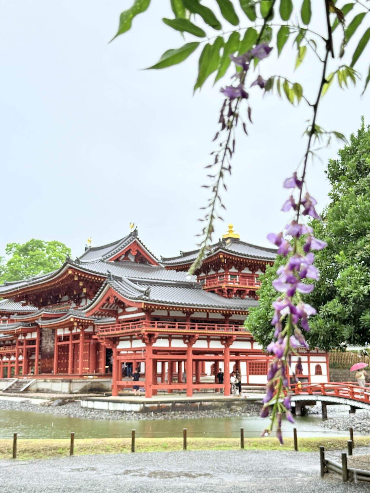 京都｜平等院鳳凰堂（国宝）｜ピジョンヌ@京都
