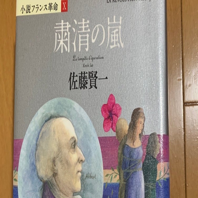 佐藤賢一『小説フランス革命』を読んで｜manami