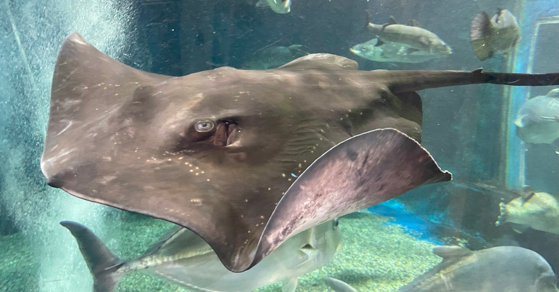 edcb6aa31d9141a1f3a0fad9b78490