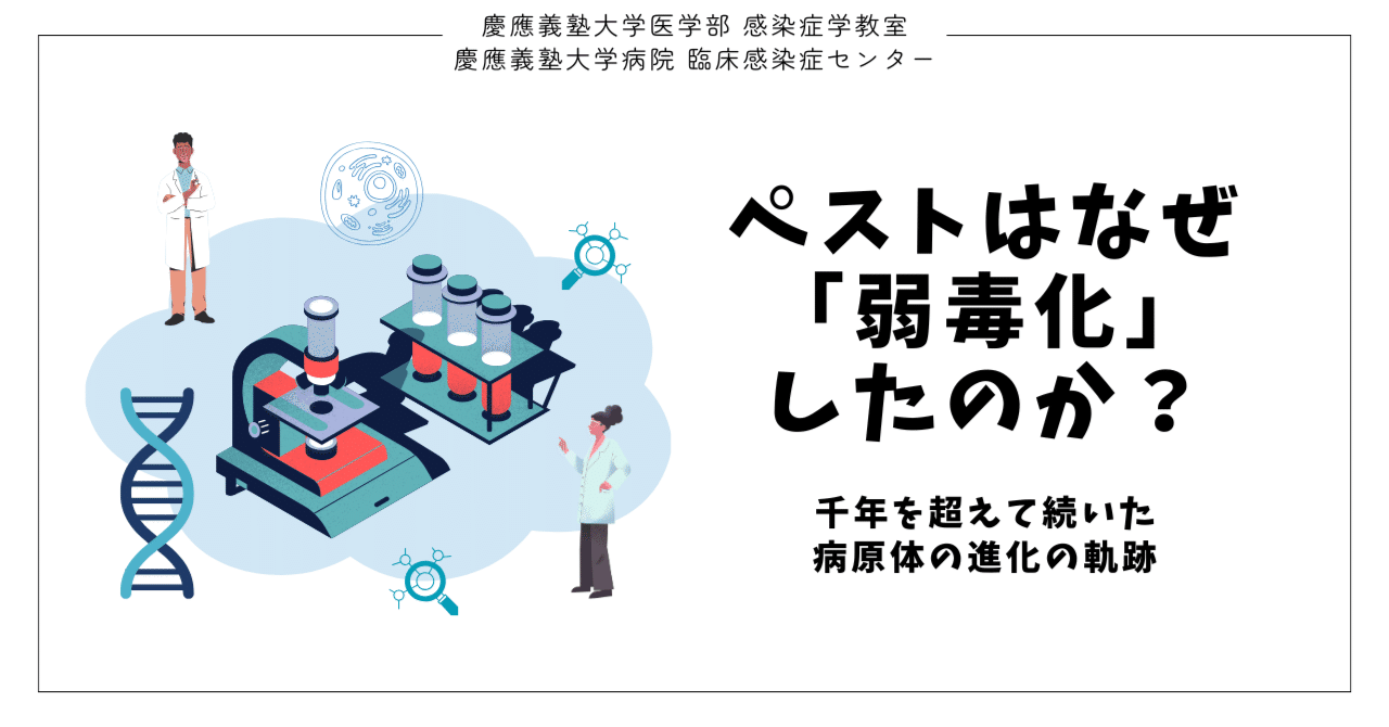 ペストはなぜ「弱毒化」したのか？──千年を超えて続いた病原体の進化の軌跡（Science誌からの報告） eyecatch