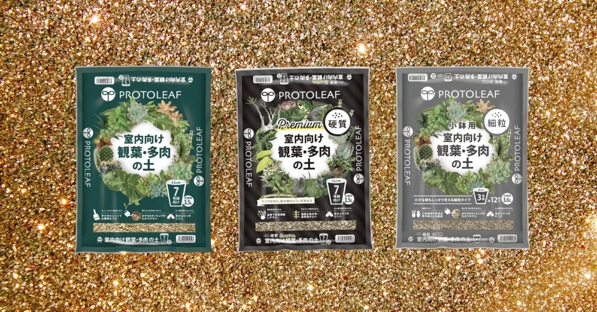 多肉・塊根植物におすすめの土｜ドラゴン・スー
