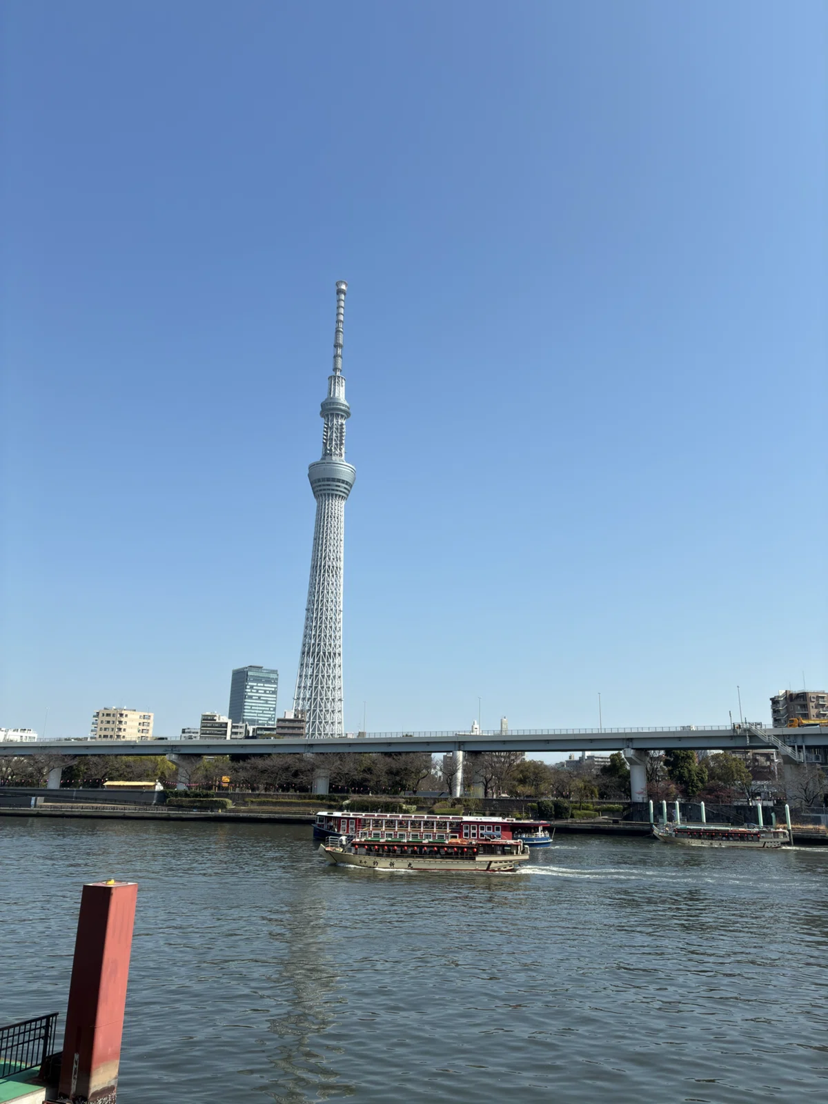 新発見！ 東京スカイツリーの撮影スポット5選 〜浅草周辺編〜｜ぴぴP