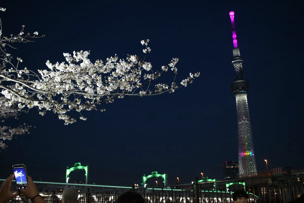 新発見！ 東京スカイツリーの撮影スポット5選 〜浅草周辺編〜｜ぴぴP
