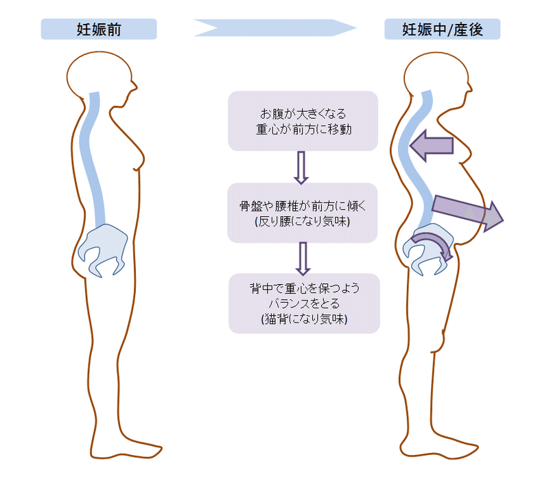 妊娠中の骨盤矯正はアリか無しか 松倉 卓也 Note 妊娠中の骨盤矯正はアリか無しか 松倉 卓也 Note