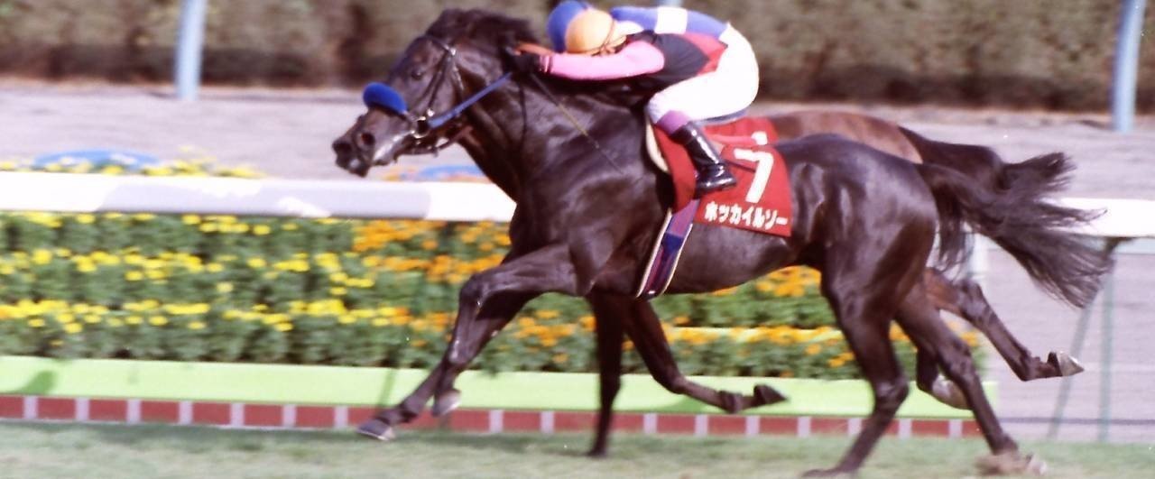 第45回産経賞オールカマー：蔵出し写真 1999年 ⑦ホッカイルソー｜馬画