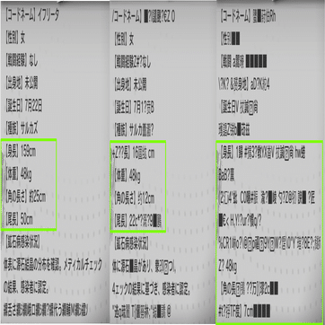 アークナイツ】悲しき実験体イフリータ、ライン生命