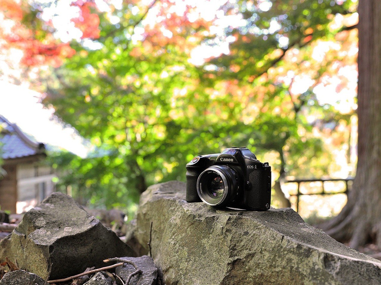 Canon EOS-1(1989年~)|シュワイPのブログ Canon EOS-1(1989年~)|シュワイPのブログ