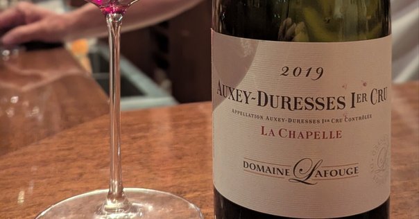 ピノ・ノワール2021/テールドシエル「飲む価値ある唯一無二性