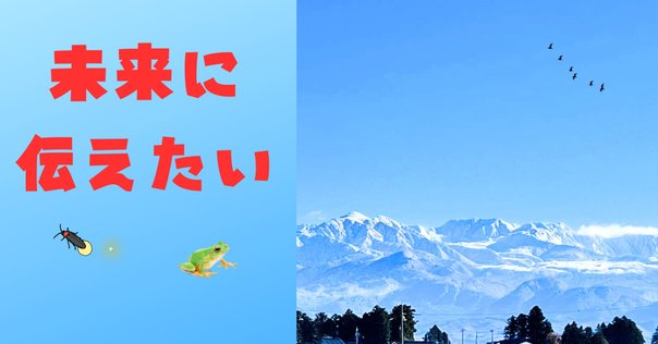 民謡おわら　富山県民謡おわら保存會本部歌詞部　川崎順二　おわら保存会 おわら保存会：保存会の歩み