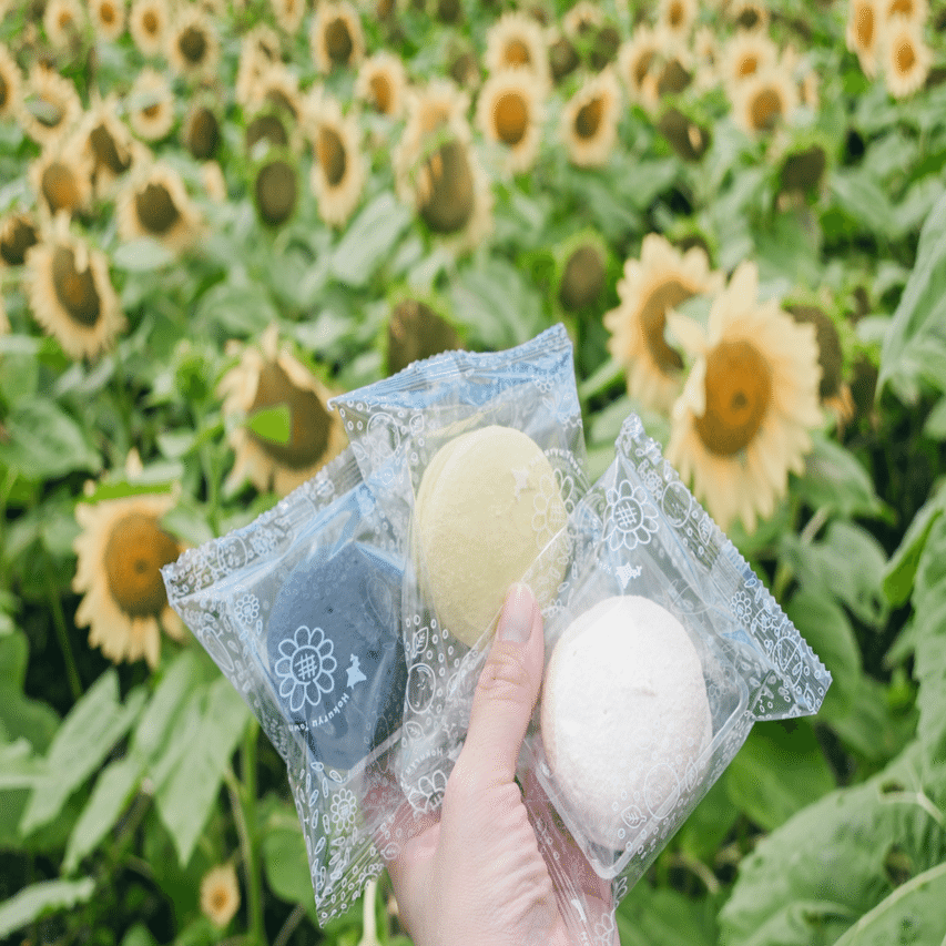 ˏˋ 周辺スポット（北竜町編） ˎˊ˗ 北竜町ひまわりまつり｜北海道・北竜