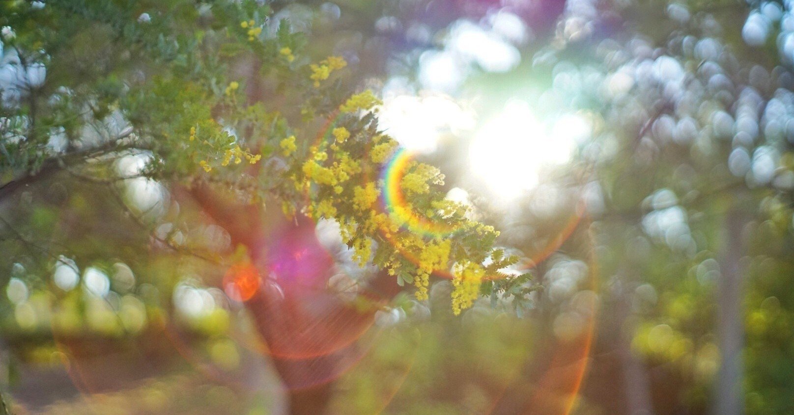 追い込まれた経験だけ 人間の器はデカくなる りょうかん Note 追い込まれた経験だけ 人間の器はデカくなる りょうかん Note