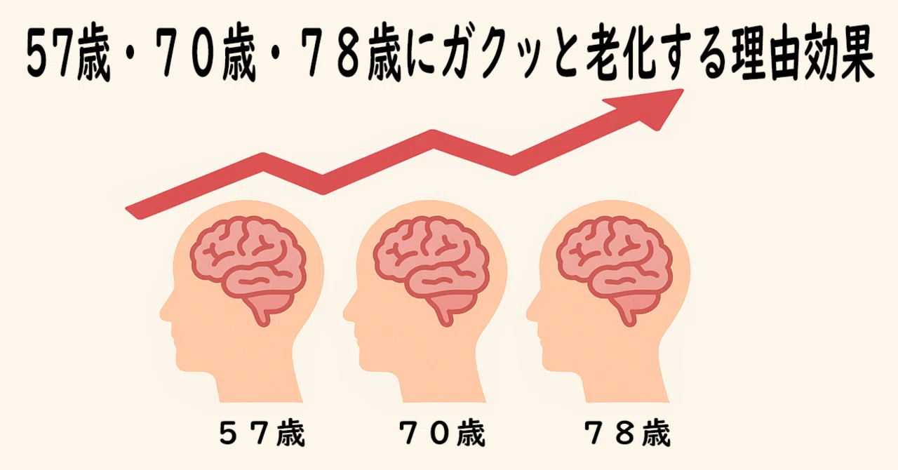 57歳・70歳・78歳」に脳がガクッと老化する理由──AIで見えた“脳と