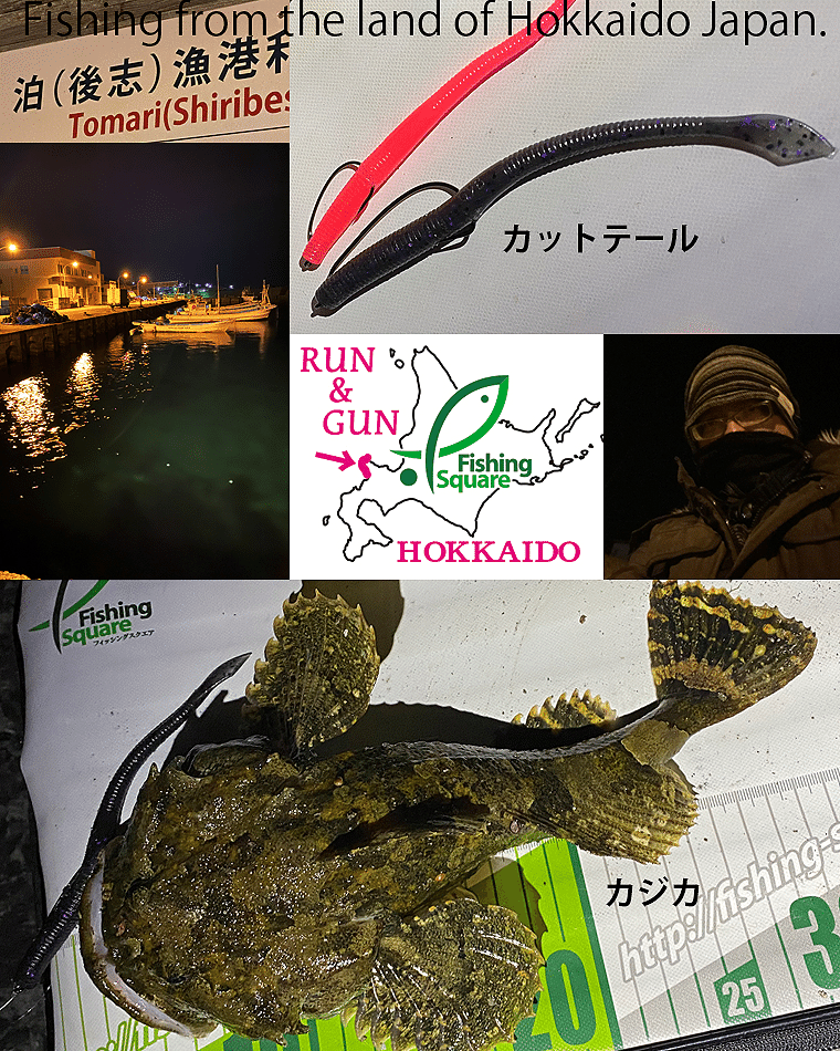 北海道の日本海へ 冬の西積丹をランガン フィッシングスクエア営業日誌 ユースケ Note 北海道の日本海へ 冬の西積丹をランガン フィッシングスクエア営業日誌 ユースケ Note