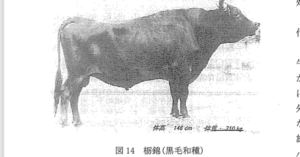 牛方・ボッカと海産物移入/岩田書院/胡桃沢勘司（単行本） 太田さん2連覇 第23回たじま農協東部和牛共進会 | 活動レポート