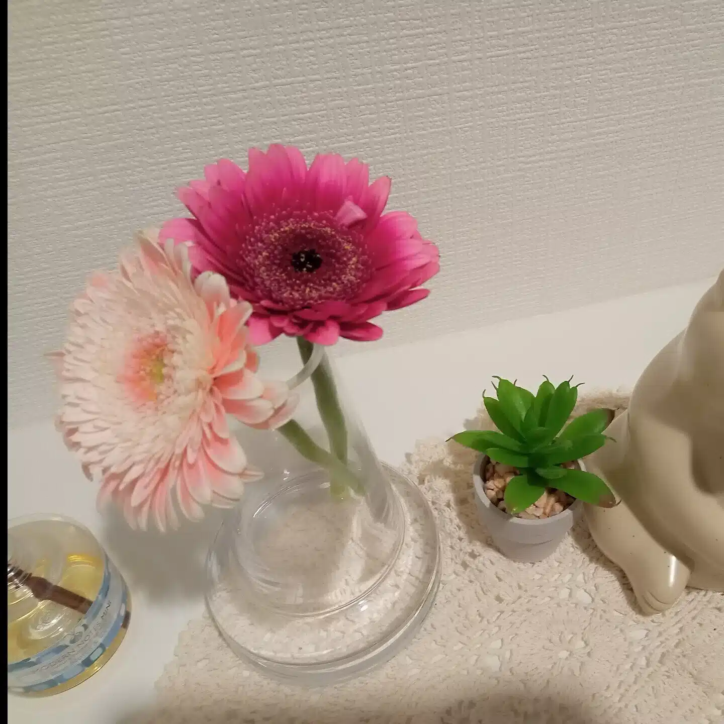 七條なな