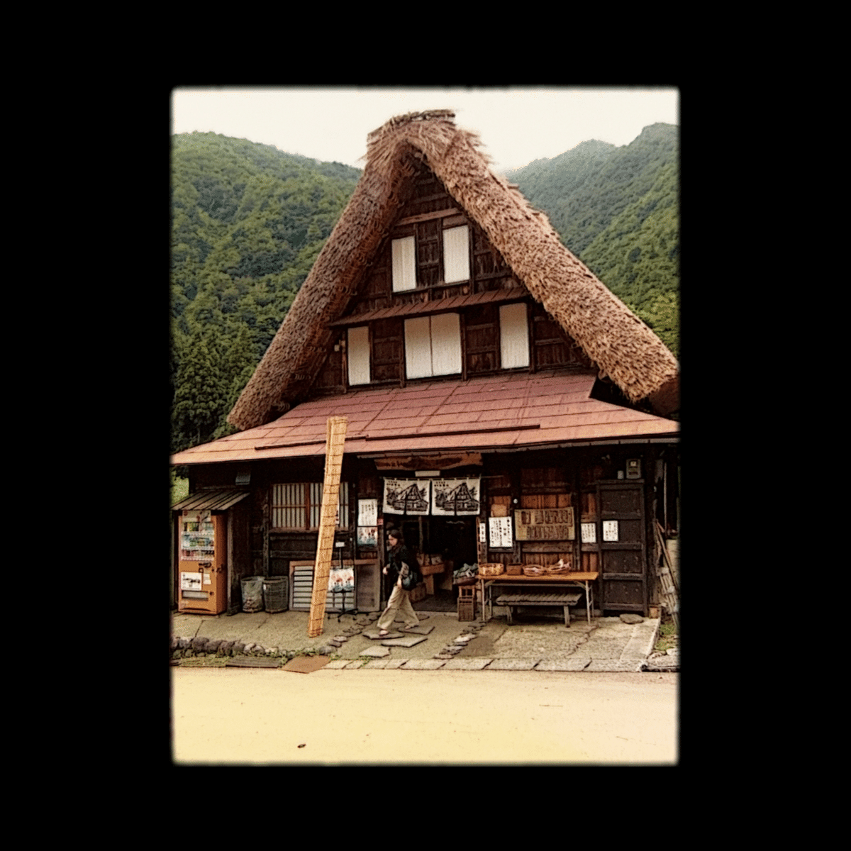 白川郷 / Shirakawago(Gifu, Japan)｜N.Hagimoto