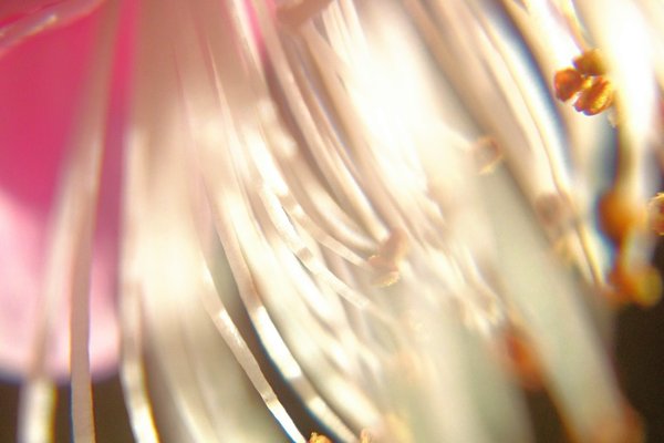 その者青き衣をまといて金色の野に降り立つべし の新着タグ記事一覧 Note つくる つながる とどける その者青き衣をまといて金色の野に降り立つべし の新着タグ記事一覧 Note つくる つながる とどける