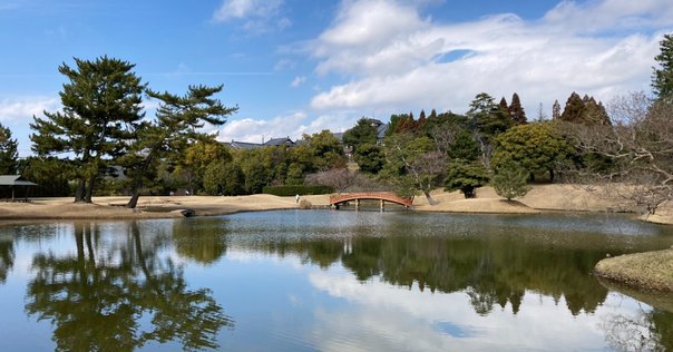 精神科「フライング診断」を乗り越える 鑑別と併存診断のケーススタディ／仙波 純一 精神科「フライング診断」を乗り越える 鑑別と併存診断のケース