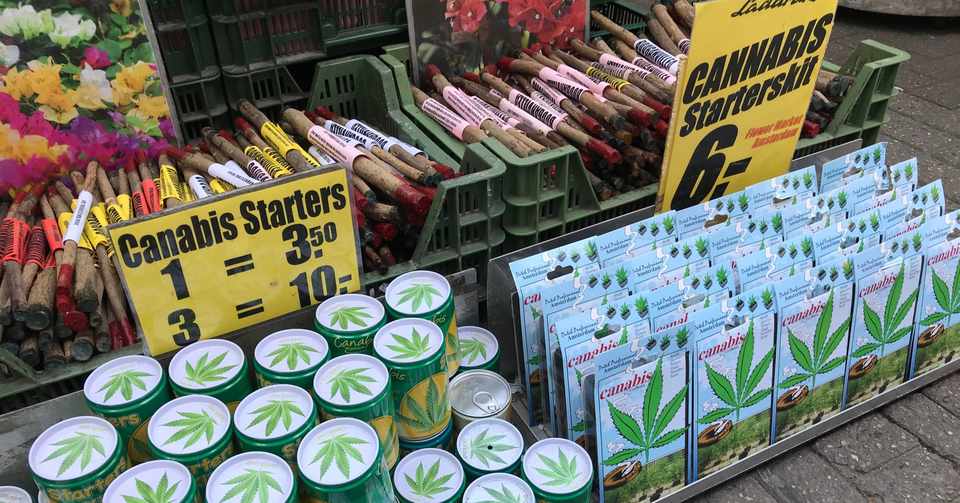 オランダ人は みんな大麻を吸うの 倉田直子 オランダ在住ライター Note