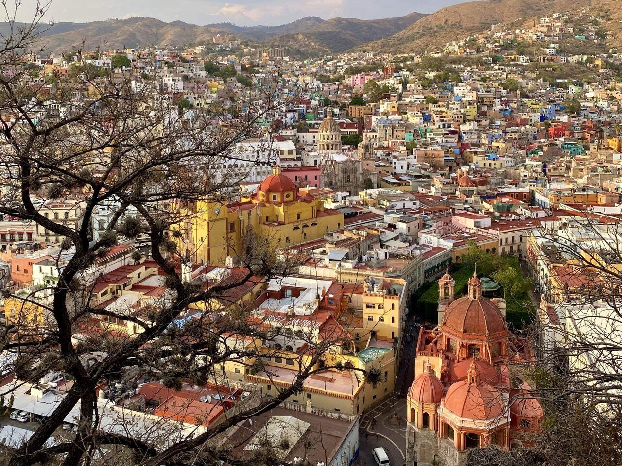 来世はメキシコ人でお願いします。｜puri