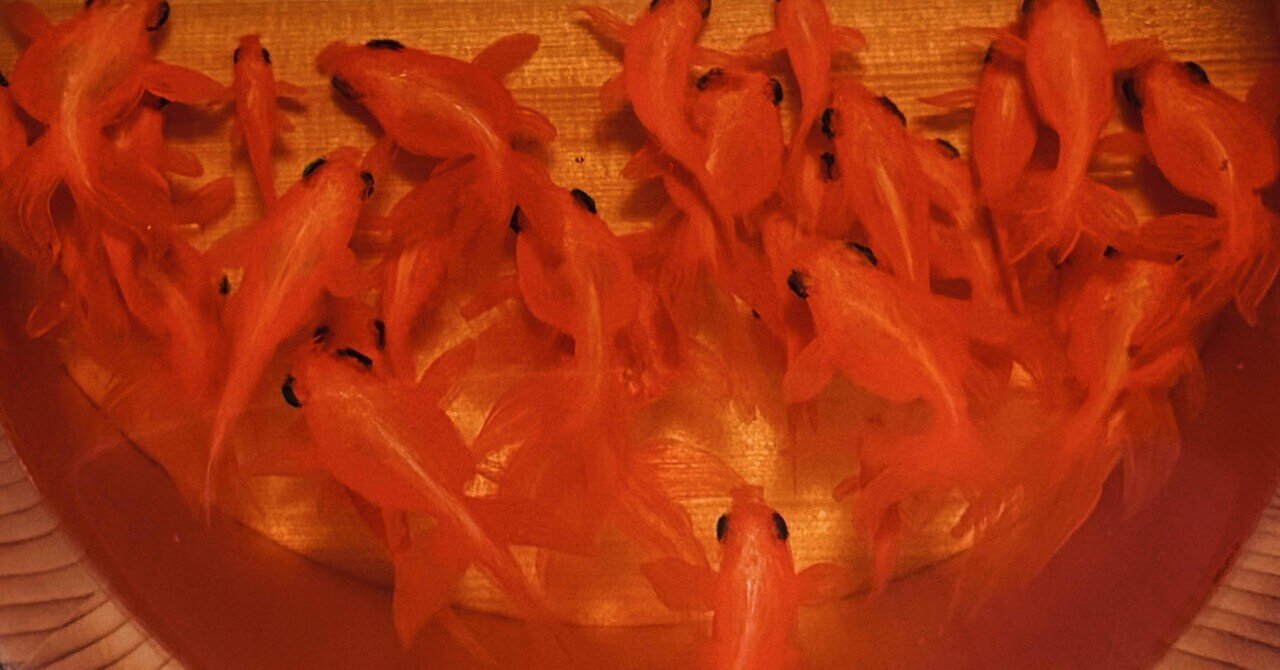 備忘録】深堀隆介展 水面のゆらぎの中へ（2025/7/22）｜呑酸