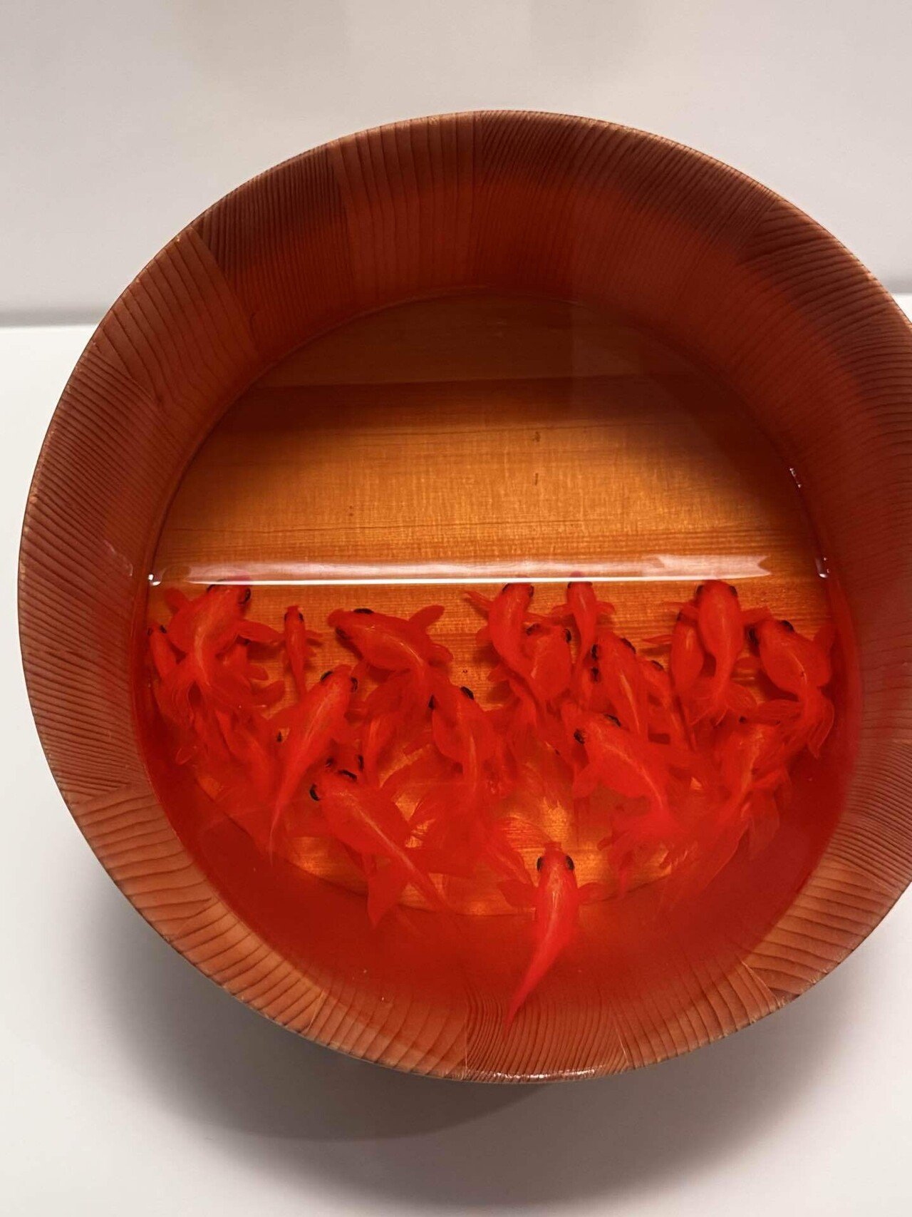 備忘録】深堀隆介展 水面のゆらぎの中へ（2025/7/22）｜呑酸