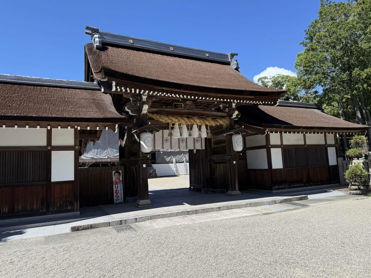 伊弉諾 OC 親株サイズ 今日で最後です。 人生の分岐点となった場所へ。再び伊弉諾神宮へ｜Shazzan