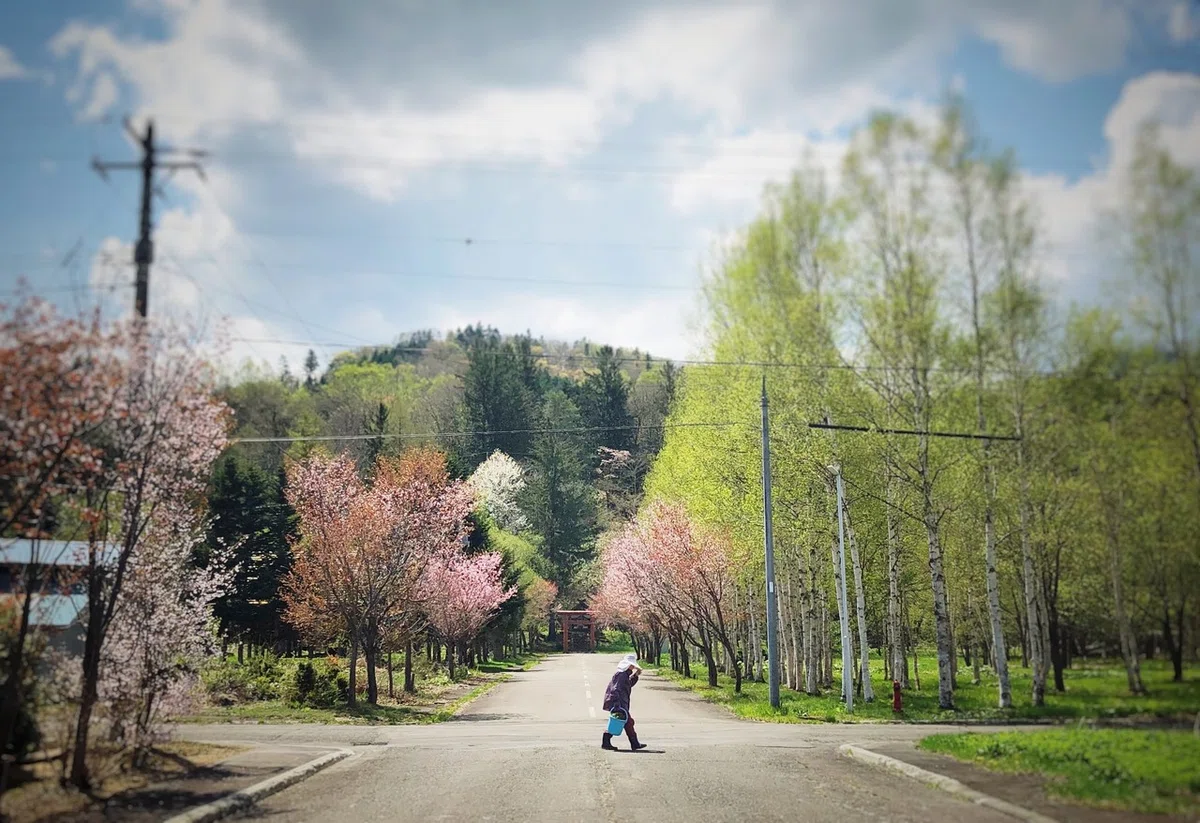 画像4