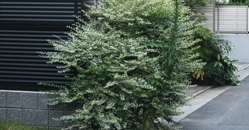 構想中