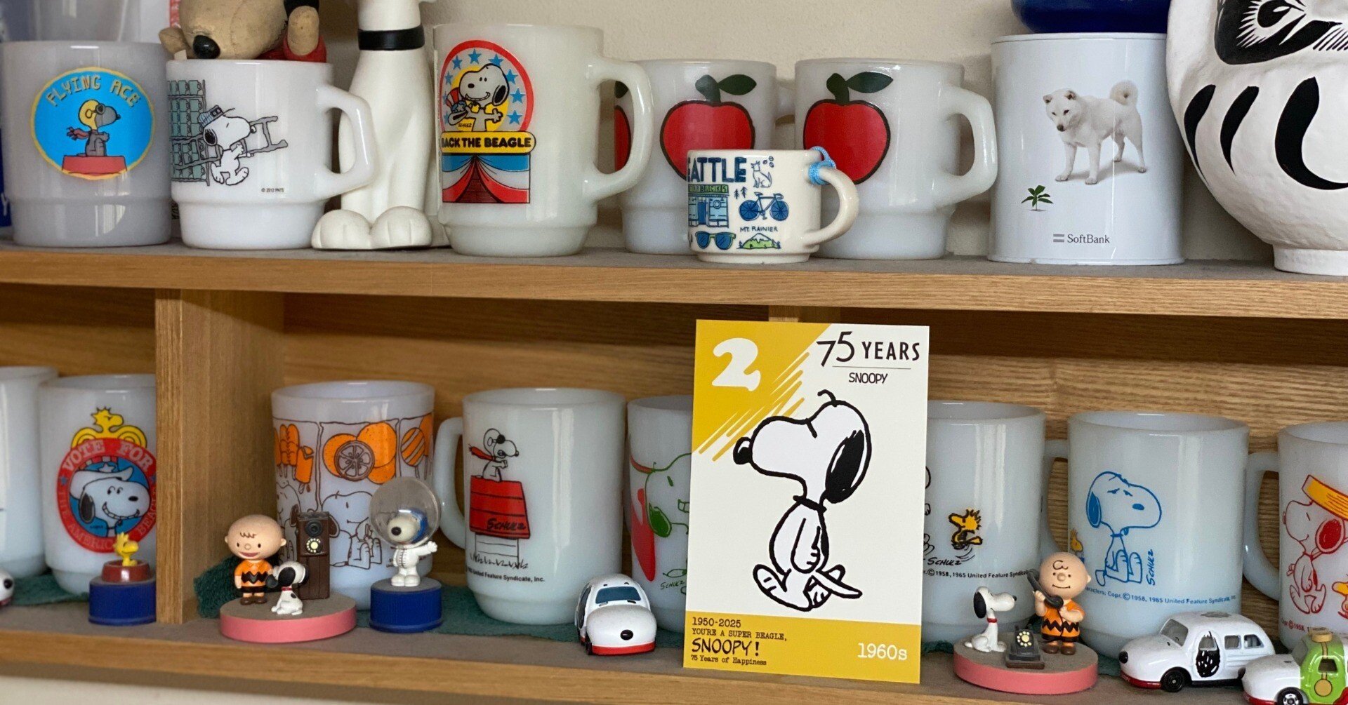 002 50年目の本気（なんてな）｜snoop-k