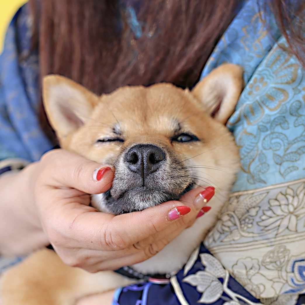 ミッドサマーのギャップとすごいとことつらいとこ Saico Note