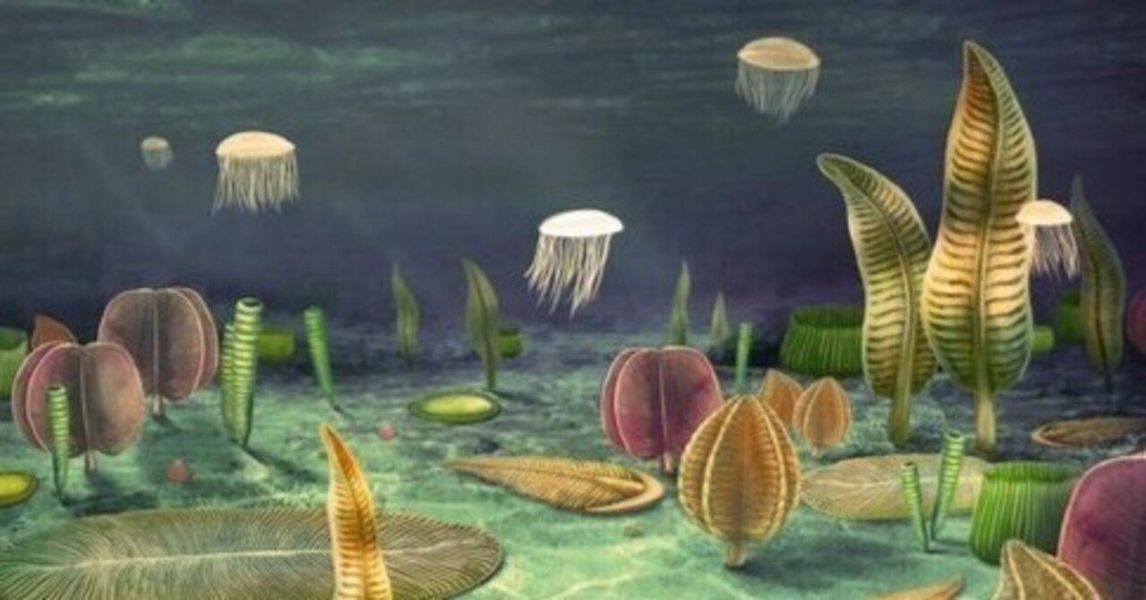 エディアカラ紀・カンブリア紀の生物』 土屋健（技術評論社）｜加藤弘一