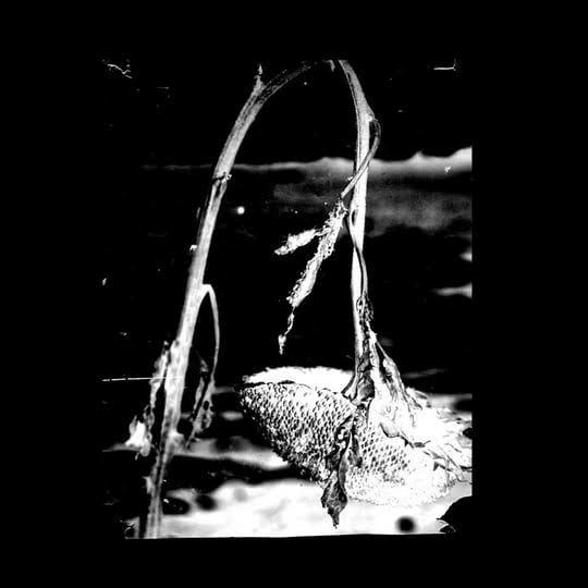 ◾️オリジナル盤/アシッドフォーク名盤■TWO FRIENDS ■トゥー・フレンズ ◾️オリジナル盤/アシッドフォーク名盤□TWO FRIENDS □トゥー