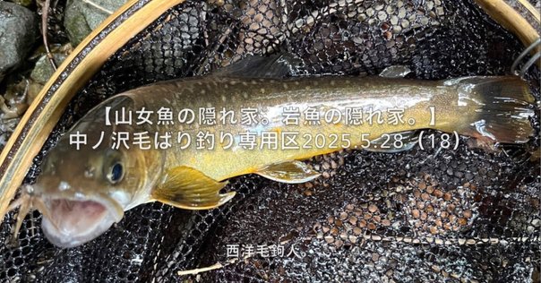 ホワイトウルフ62UL-e 道具のこと：ロデオクラフト 999.9 meister ホワイトウルフ62UL